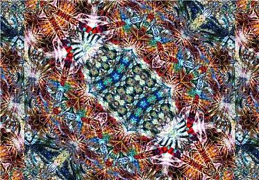 再见”硫酸脸“！《死或生》之父板垣伴信不幸去世 光荣特库摩和粉丝发文哀悼